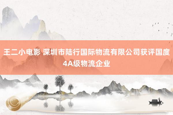 王二小电影 深圳市陆行国际物流有限公司获评国度4A级物流企业