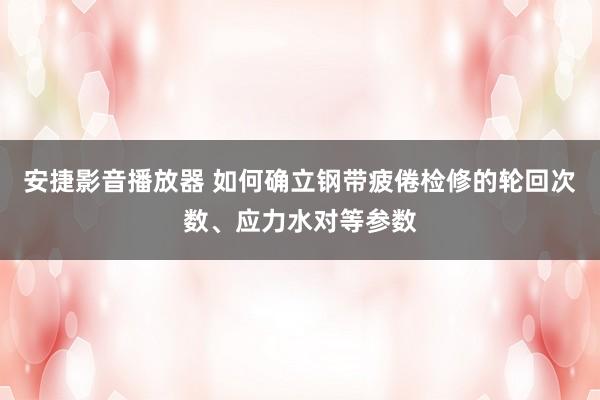 安捷影音播放器 如何确立钢带疲倦检修的轮回次数、应力水对等参数