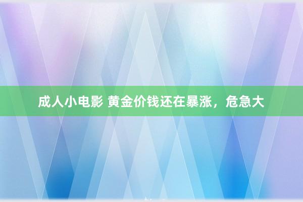 成人小电影 黄金价钱还在暴涨，危急大