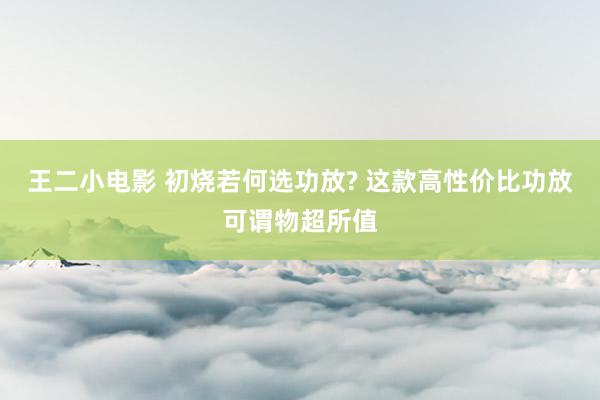 王二小电影 初烧若何选功放? 这款高性价比功放可谓物超所值