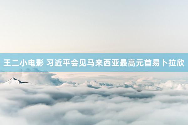 王二小电影 习近平会见马来西亚最高元首易卜拉欣