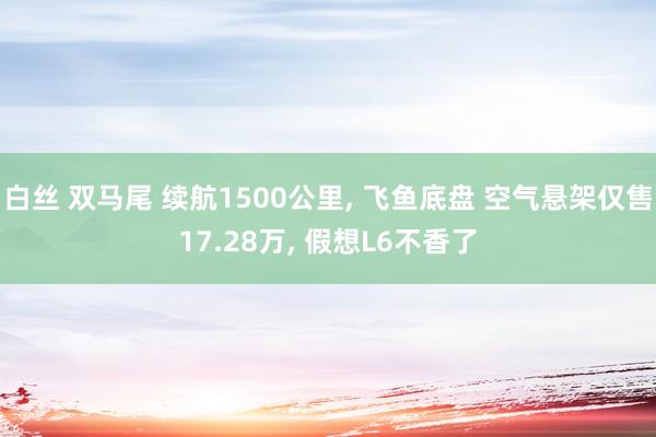 白丝 双马尾 续航1500公里, 飞鱼底盘 空气悬架仅售17.28万, 假想L6不香了